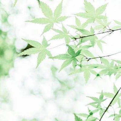 水润初心,向光而行:让女性力量...